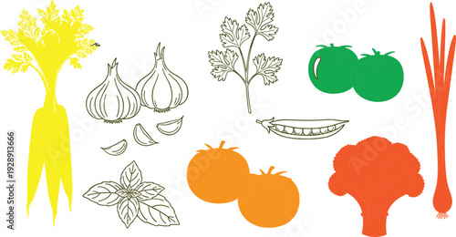Fresh vegetables vector illustration set with carrot garlic tomato peas broccoli herbs and onion colorful healthy food elements isolated on white background