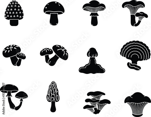A collection of black silhouette icons representing various types of forest mushrooms and fungi.