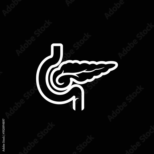 Simplified vector outline of the human pancreas and duodenum, illustrating vital digestive and endocrine organ anatomy for educational and medical purposes, presented on a dark background