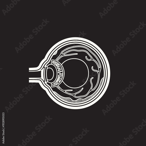 Detailed anatomical cross-section of a human eye, depicting internal structures and optic nerve, presented as a clear, geometric medical illustration for educational and scientific design