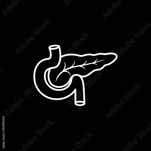 Minimalist Line Icon of Human Pancreas and Duodenum Representing Digestive System Anatomy and Endocrine Function in a Flat Graphic Style