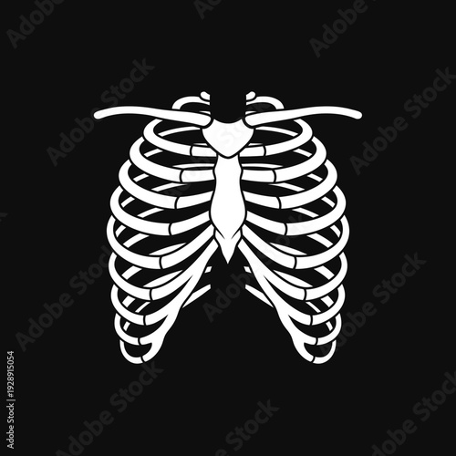 An anatomical illustration of the human rib cage, rendered in stark white against a black background, creating a dramatic and graphic visual representation of skeletal structure and internal anatomy