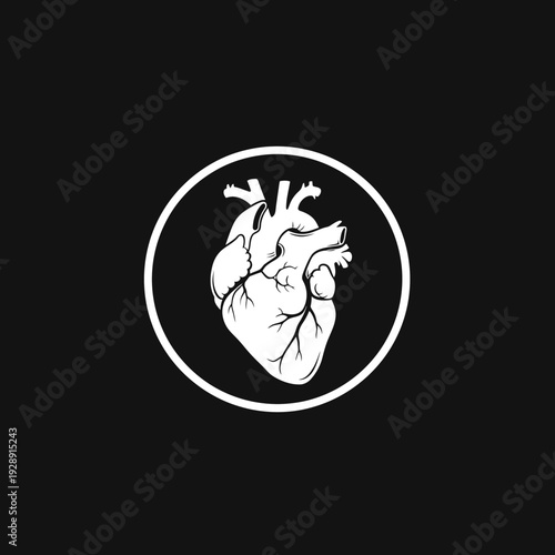 Intricate anatomical heart illustration framed within a pristine circle, symbolizing health, human vitality, and core medical science with a clean, symmetrical graphic design