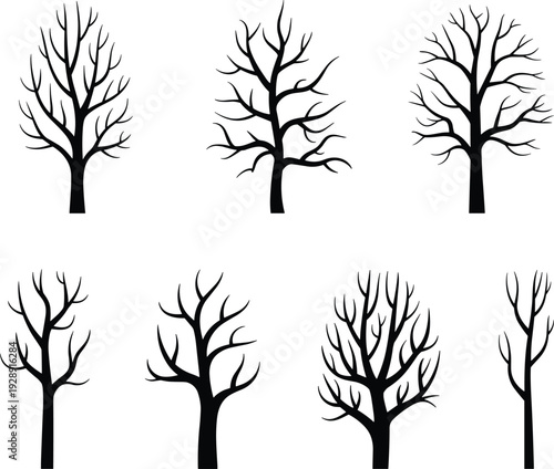 Collection of black leafless tree silhouettes isolated on white background, detailed bare branches winter forest nature illustration set for design, clip art and decoration.