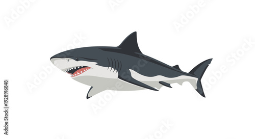 Aggressive Great White Shark Illustration Isolated on White Background
