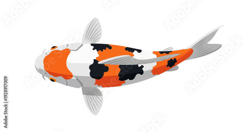 Colorful Koi Fish Illustration - Japanese Carp Swimming