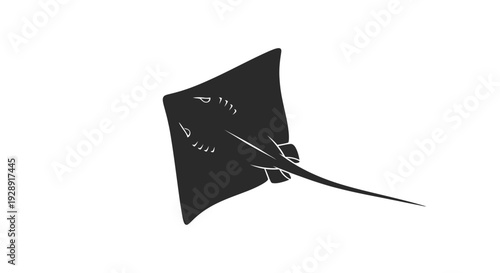 Silhouette of a Stingray Swimming