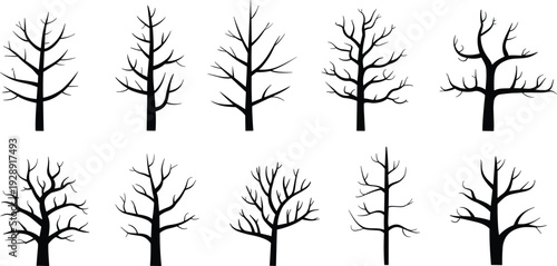 Set of ten black leafless tree silhouettes isolated on white background, minimalist winter forest collection with detailed bare branches for design, decoration, and graphic projects