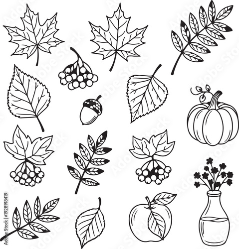 Collection of Autumnal Elements Including Leaves, Acorn, Rowan Berries, Pumpkin, Apple, and Vase Illustration