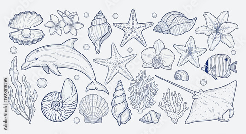 A colorful illustration of a dolphin, starfish, seashells, and other marine life, including a stingray, fish, and seaweed, floating in the ocean water.