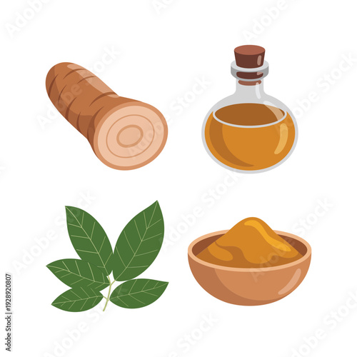 Herbal beauty ingredients with sandalwood log, glass oil bottle, fresh leaves and turmeric bowl, ayurveda spa treatment natural vector