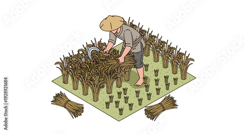 Farmer Harvesting Crops in the Field.