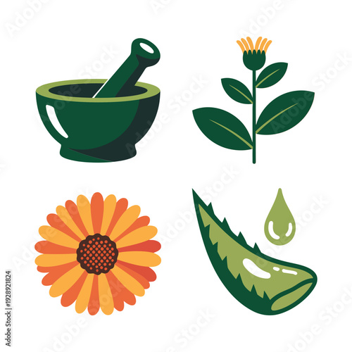 Herbal medicine symbols with mortar pestle, calendula flower, aloe vera slice and leaf drop, natural skincare remedy vector icons