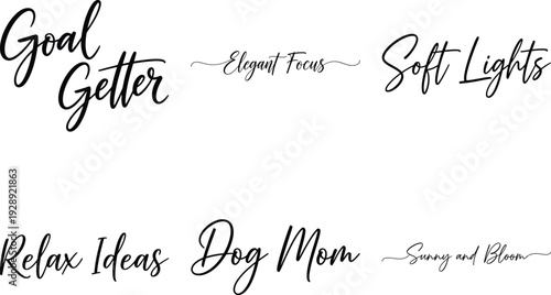 Elegant Script Font Phrases for Inspiration