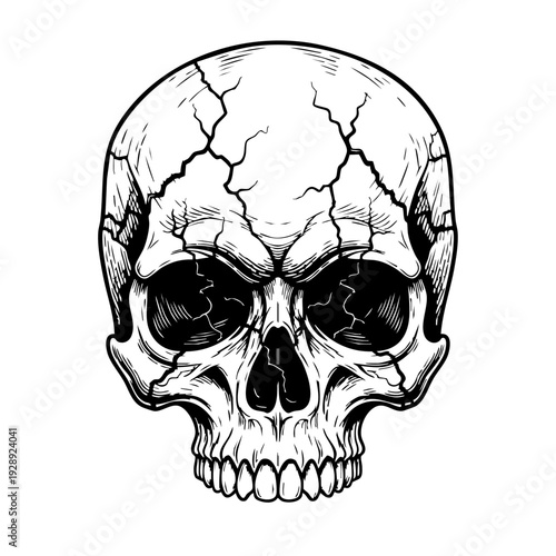 Detailed black and white illustration of a human skull with cracked surface.