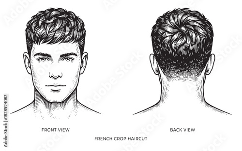 French crop haircut illustration showing front and back views in an etching style.