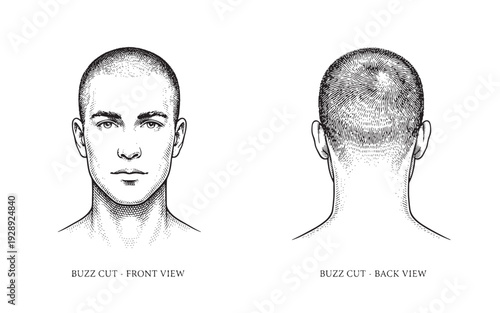 Classic engraving style drawing of a men's buzz cut hairstyle from front and rear views