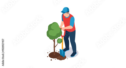 Man Planting a Small Tree Sapling.