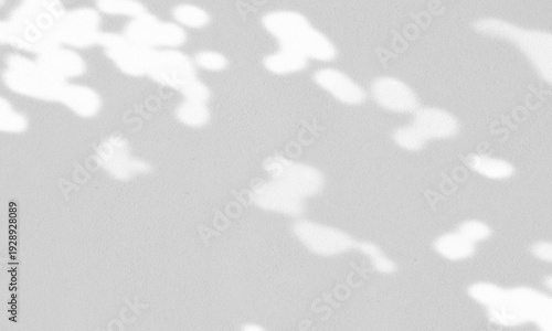 コンクリートの壁面に差し込む柔らかな木漏れ日