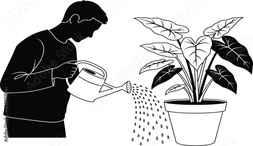 Detailed Black and White Silhouette Vector Illustration of a Man Using a Watering Can to Tend a Large Potted Houseplant Isolated