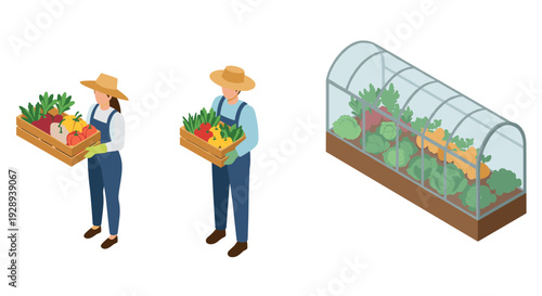 isometric farmers holding wooden crates with fresh vegetables near a greenhouse growing variety of plants in a modern flat style