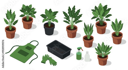 collection of potted green houseplants with gardening tools and supplies in flat isometric style
