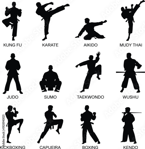 Black vector illustration set of twelve martial arts silhouettes including karate, kung fu, judo, taekwondo, boxing, and more, arranged in rows for sports and training artwork.