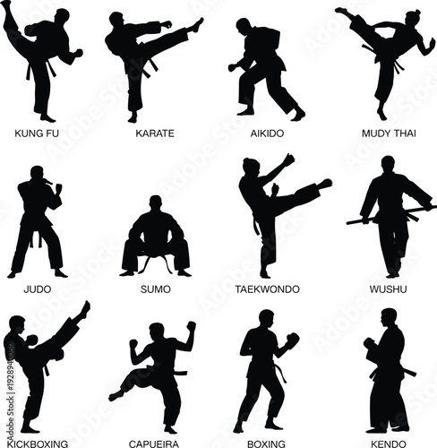 Black vector illustration set of twelve martial arts silhouettes including karate, kung fu, judo, taekwondo, boxing, and more, arranged in grid format for sports and training design.