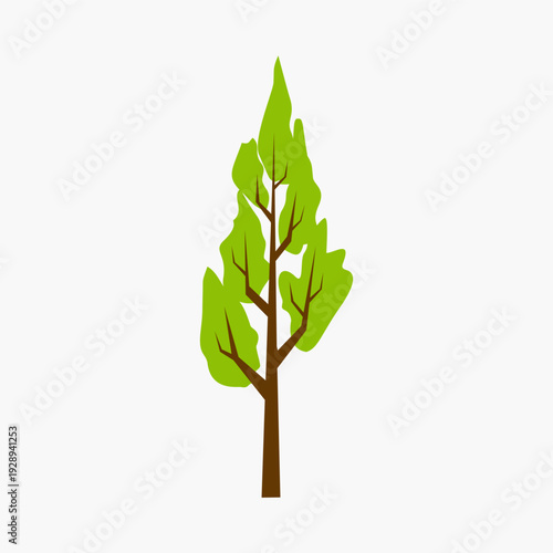 Cypress tree flat vector