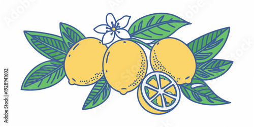 Stylized illustration of lemons with leaves and a sliced lemon