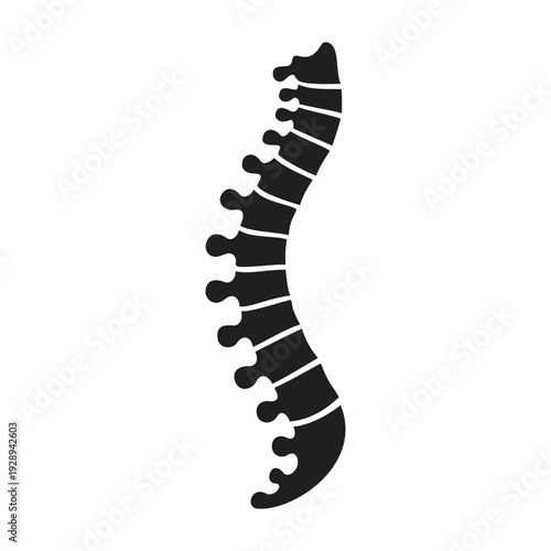 Human Spine Anatomy Silhouette Icon for Chiropractic Clinics, Orthopedic Health Services, Back Pain Therapy, and Medical Diagnostic Branding