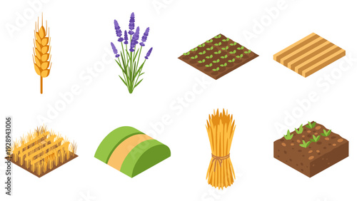 isometric set of agricultural elements and plants including wheat sheaf and lavender in flat colorful style