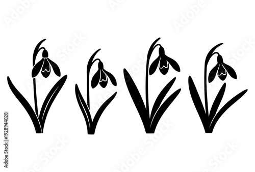 Snowdrop flower black silhouette set vector illustration
