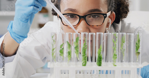 Canvastavla Glass vials, plants and scientist in laboratory for medical development with research, study or project