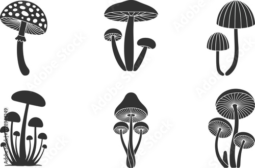 Mushroom silhouette set with forest fungi toadstool caps botanical black and white vector illustration collection for nature design
