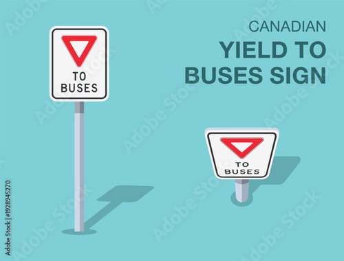 Traffic regulation rules. Isolated canadian "yield to buses" road sign. Front and top view. Flat vector illustration template.