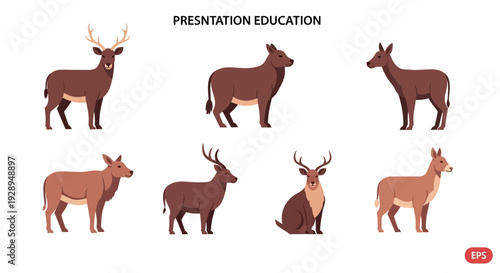 Cartoon animal set variety mammals in diverse poses isolated on white background