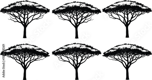 Acacia tree silhouettes set, African savanna umbrella trees, isolated black vector collection, safari nature elements, botanical illustration design pack