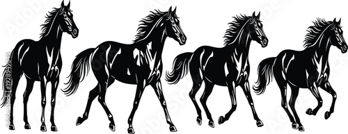 Black Horse Silhouette Vector Set with Running and Standing Stallion Poses Isolated Illustration