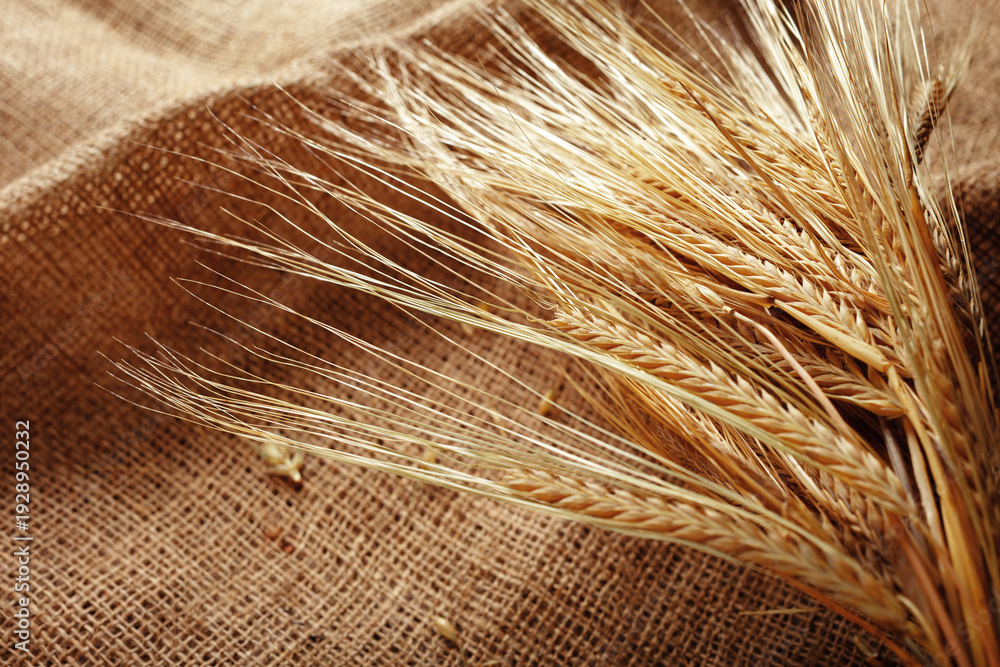 Obraz premium Wheat stalks arranged on a burlap cloth in a simple indoor setting during the afternoon