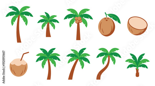 Collection of stylized illustrations of various coconut palm trees and coconuts, showcasing different shapes, sizes, and arrangements.
