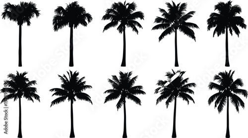 Palm tree silhouettes set, tropical coconut trees collection, isolated black vector palms, beach nature elements, exotic summer illustration pack