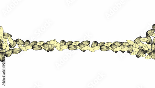 Sunflower Seed Pattern. Frame Engraved Motif. Hand Drawn Vector. Monochrome Botanical Background.