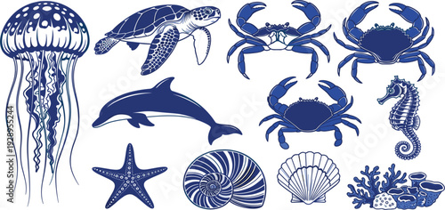 Blue Marine Animals and Sea Life Vector Set with Jellyfish Turtle Crab Dolphin Seahorse and Shells