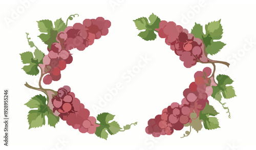 Decorative Watercolor Red Grapes Frame Vector with Leaves Fresh Fruit Design Isolated on White Background