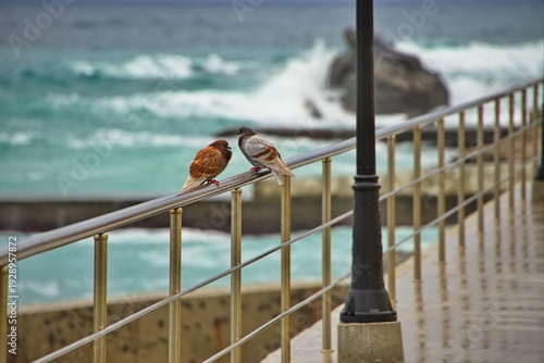 Winter storm on the Black Sea coast, Crimea.