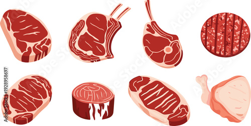 Raw and Grilled Meat Steak Cuts with Burger Patty and Chicken Leg Vector Illustration Set