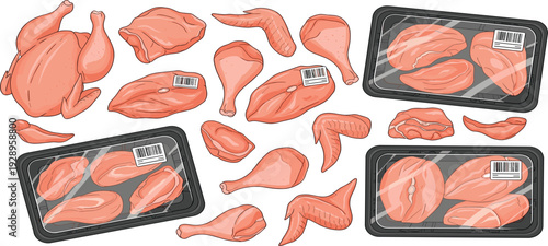 Raw Chicken Meat Cuts and Packaged Poultry in Plastic Trays Vector Illustration Set