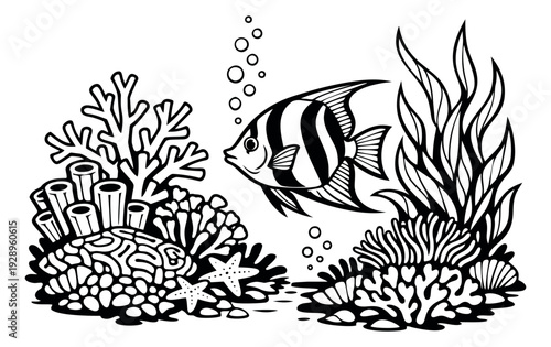 Hand drawn line art illustration of a tropical fish depicting an underwater coral reef scene for marine life education