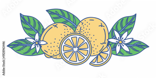 Stylized illustration of lemons leaves and fragrant white blossoms
